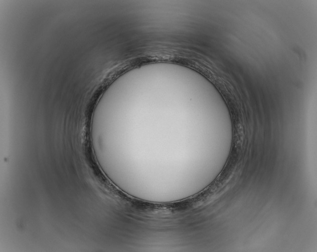 X0000111590600200907231216