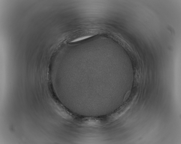 X0000111590601200907231216