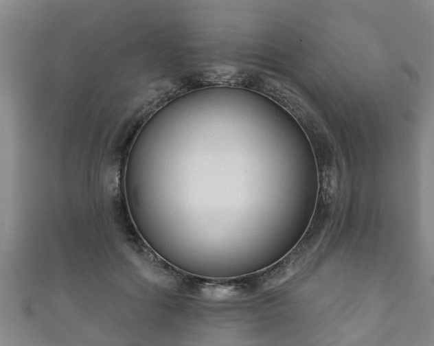 X0000111590602200907231216