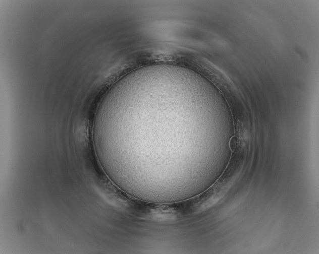 X0000111590603200907231216