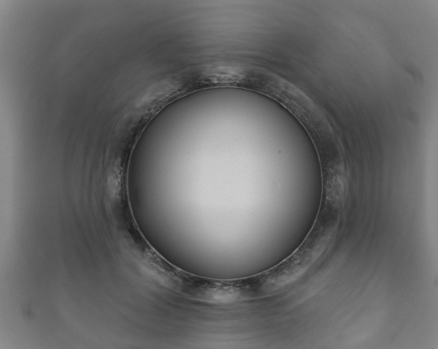 X0000111590604200907231216