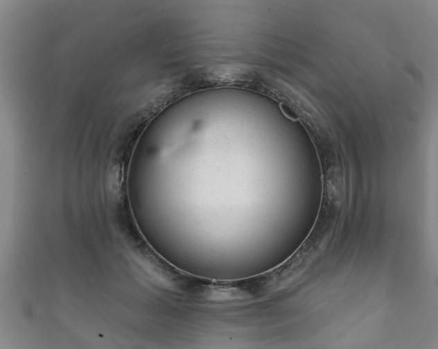 X0000111590605200907231216