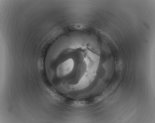 X0000111590606200907231216