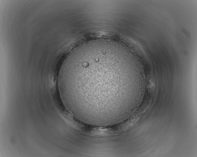 X0000111590607200907231216