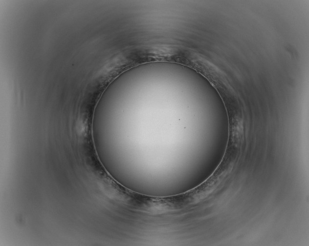 X0000111590608200907231216