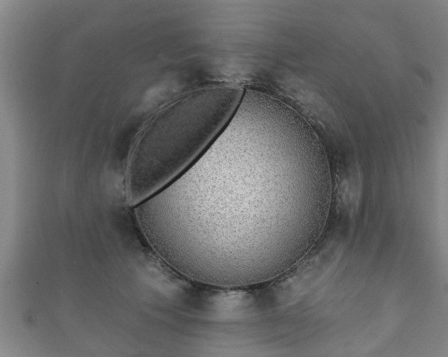 X0000111590609200907231216