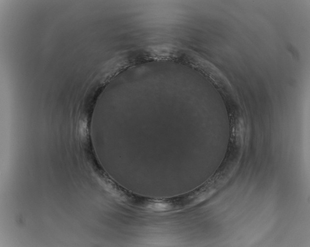 X0000111590610200907231216