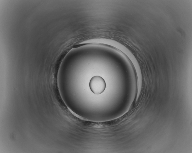 X0000111590611200907231216