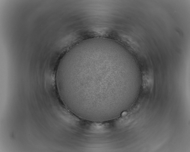 X0000111590613200907231216