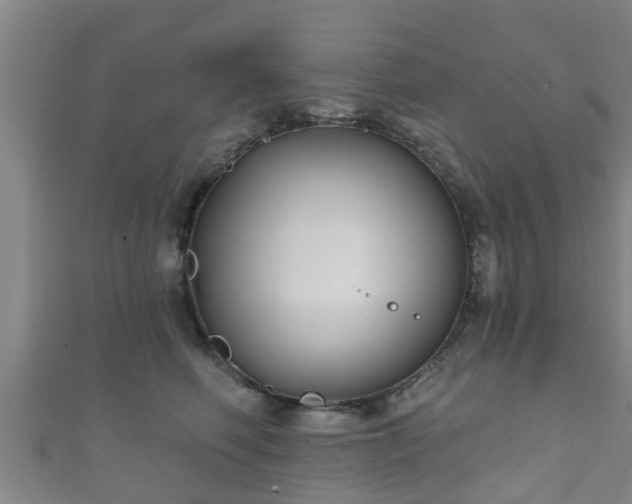 X0000111590614200907231216