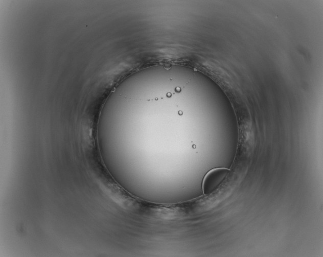 X0000111590615200907231216