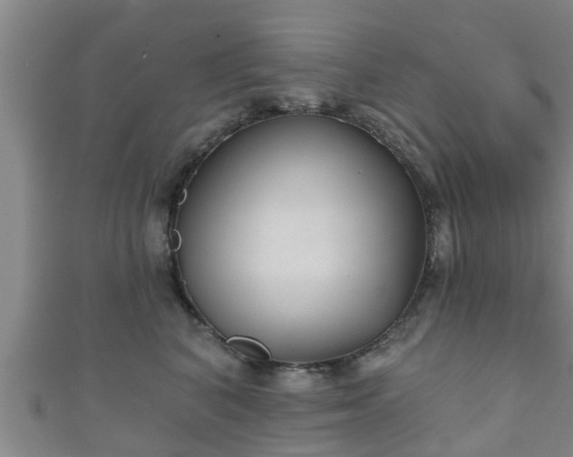 X0000111590616200907231216