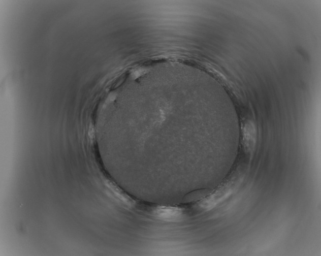 X0000111590617200907231216