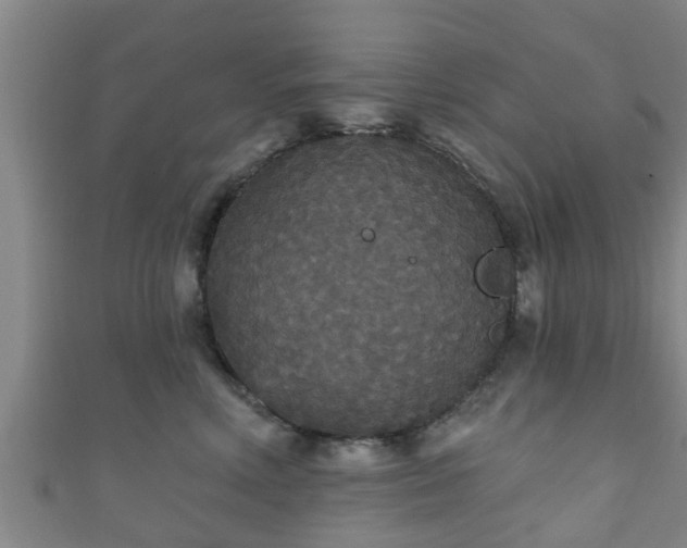 X0000111590618200907231216