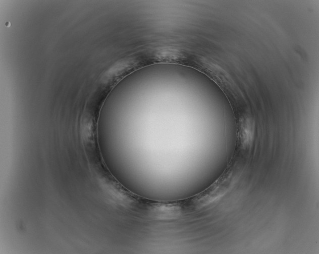 X0000111590619200907231216