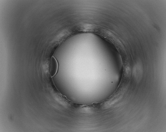 X0000111590620200907231216