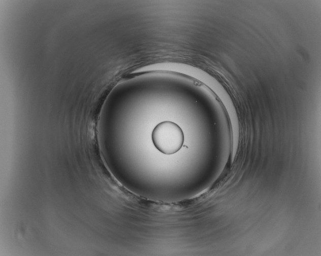 X0000111590621200907231216