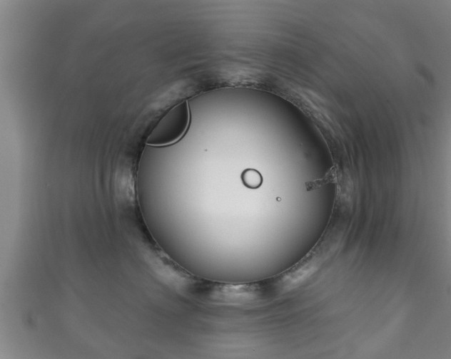 X0000111590622200907231216