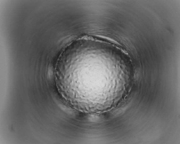 X0000111590623200907231216