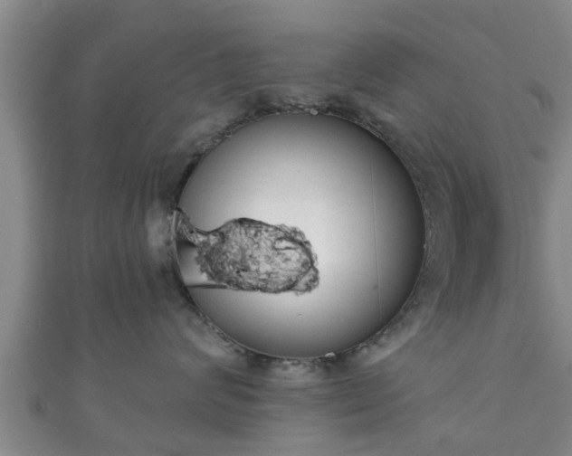 X0000111590624200907231216