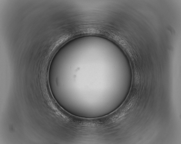 X0000111590625200907231215