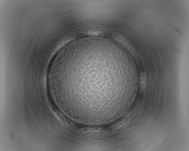 X0000111590626200907231215