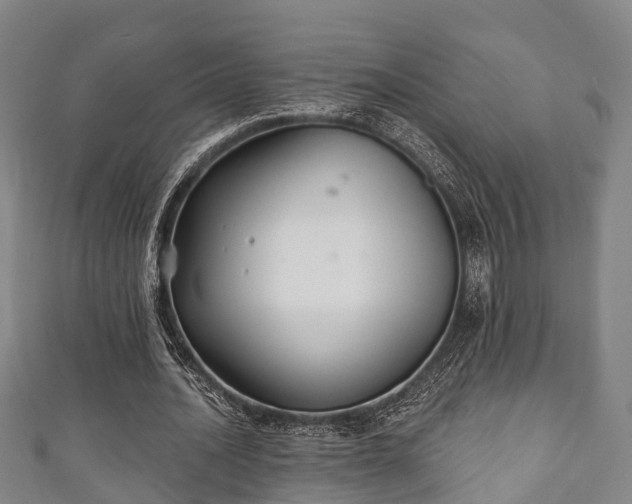 X0000111590628200907231215