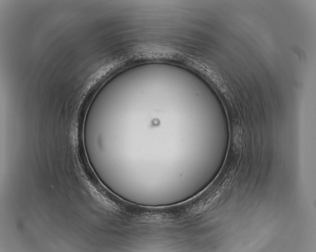 X0000111590629200907231215