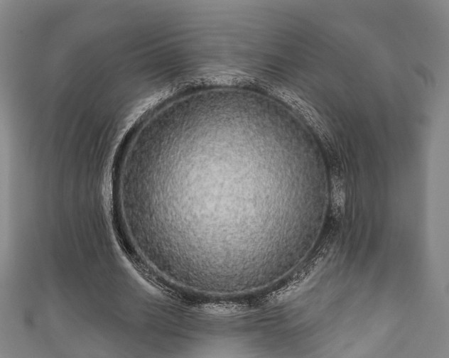 X0000111590630200907231215