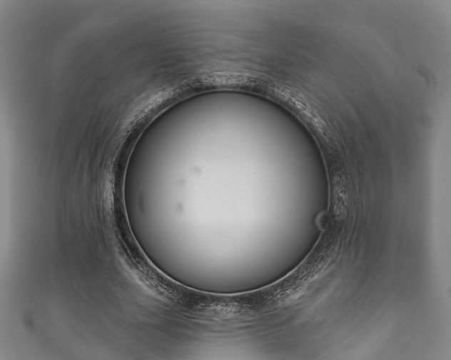 X0000111590631200907231215