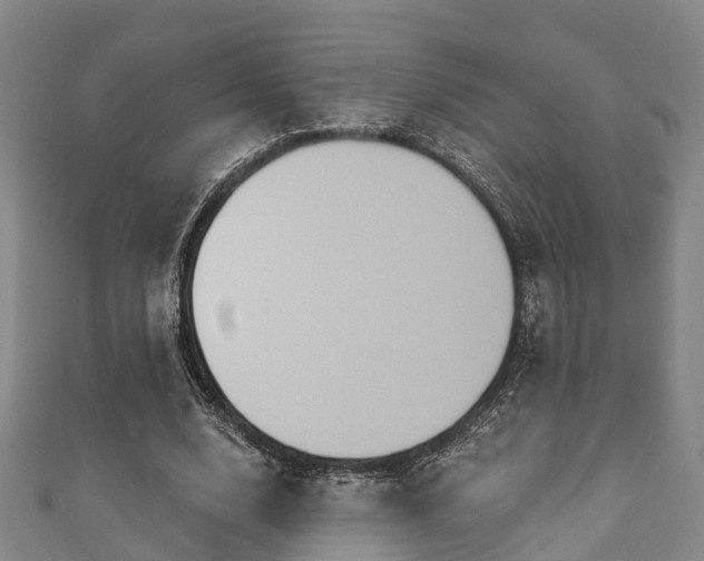 X0000111590632200907231215