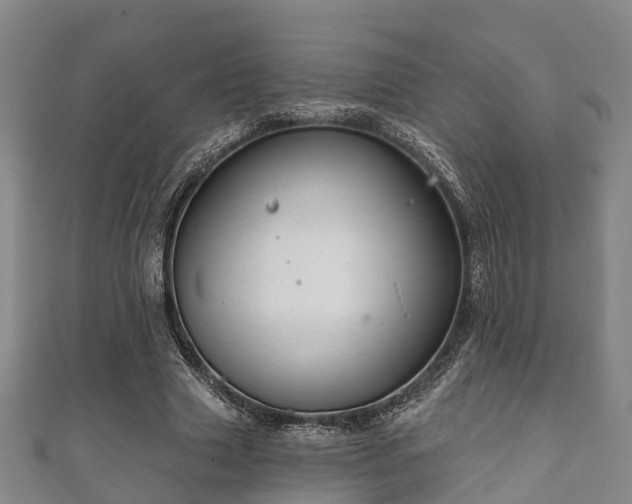 X0000111590633200907231215