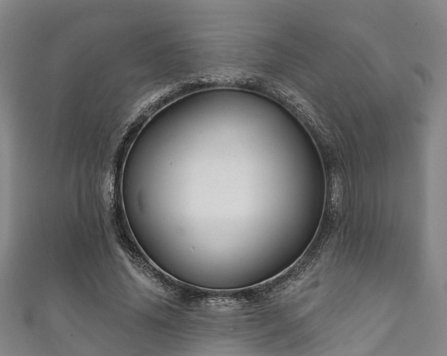 X0000111590636200907231215