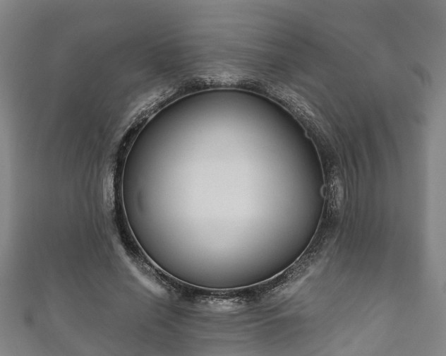 X0000111590638200907231215