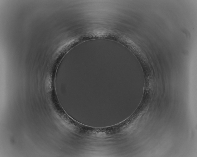 X0000111590640200907231215