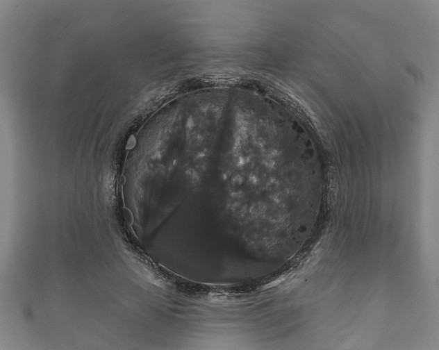 X0000111590641200907231215