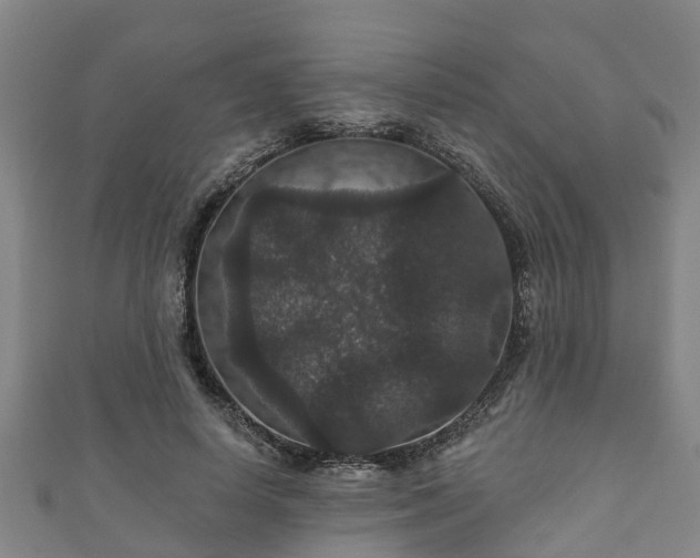 X0000111590642200907231215