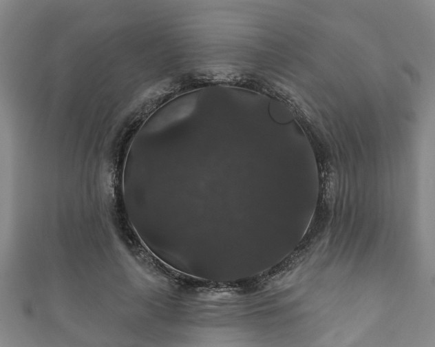 X0000111590643200907231215