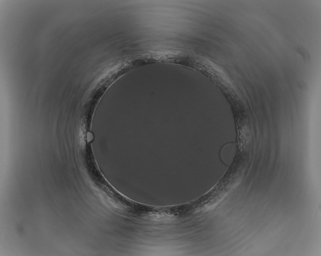 X0000111590644200907231215