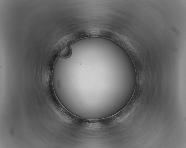 X0000111590645200907231215