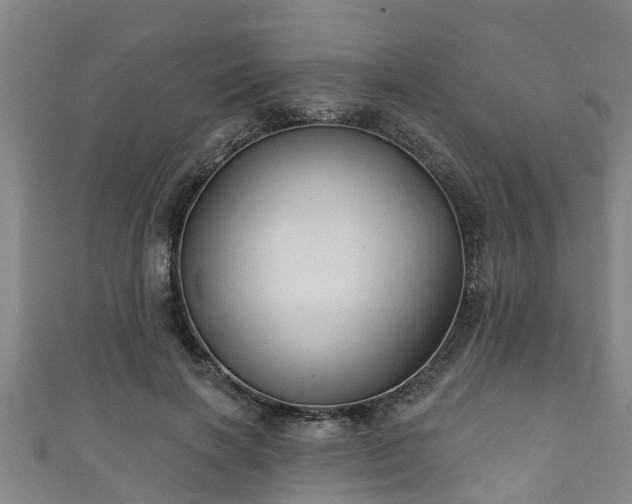 X0000111590646200907231215