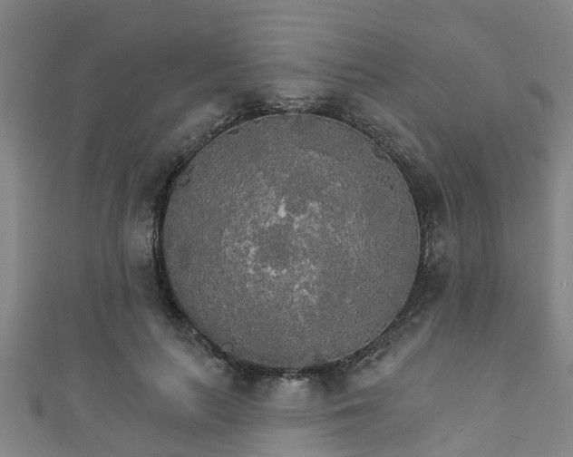 X0000111590647200907231215