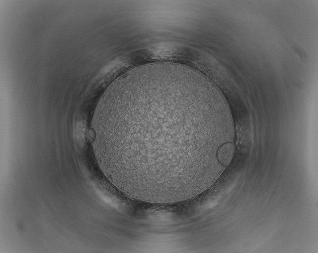 X0000111590648200907231215