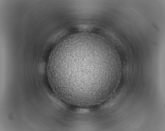 X0000111590649200907231215