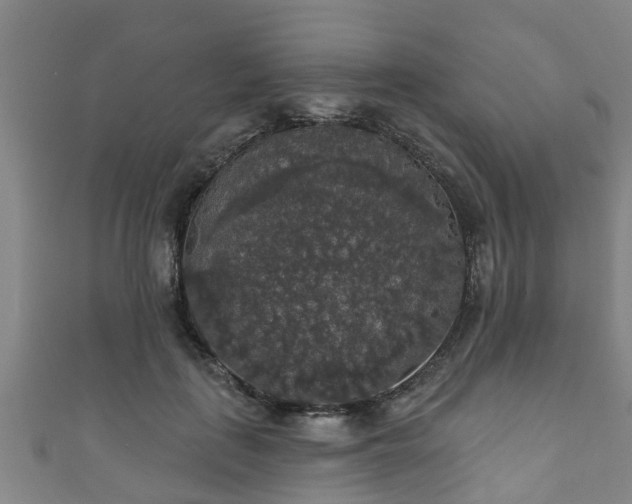 X0000111590651200907231215