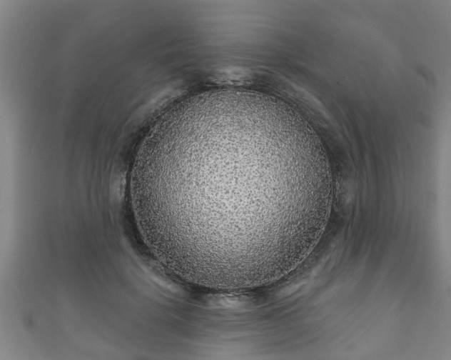 X0000111590652200907231215