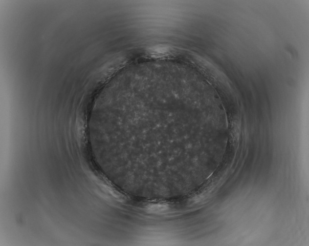 X0000111590653200907231215