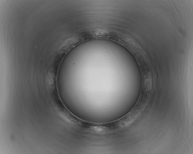 X0000111590654200907231215