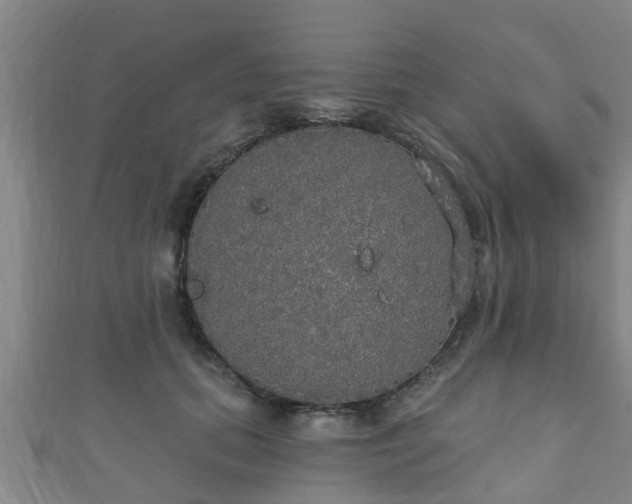 X0000111590655200907231215