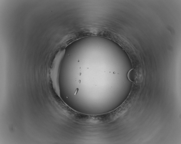 X0000111590656200907231215